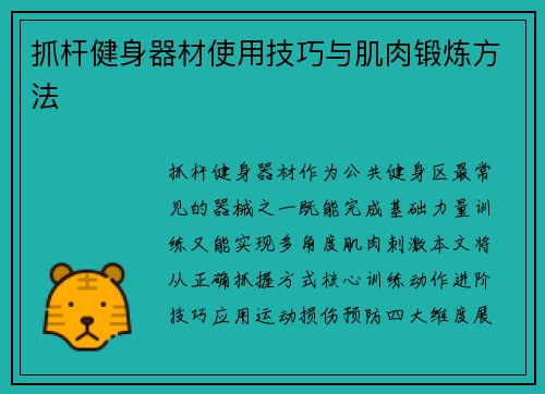 抓杆健身器材使用技巧与肌肉锻炼方法