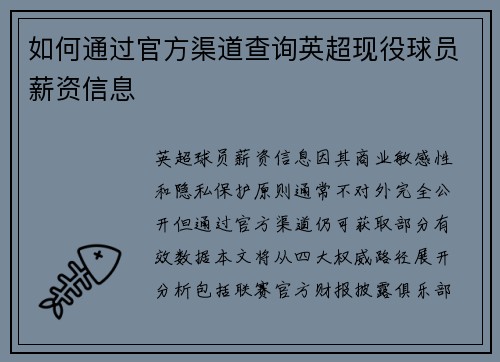 如何通过官方渠道查询英超现役球员薪资信息